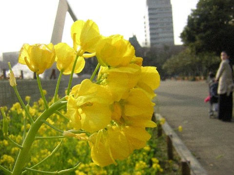 帰ろうか・・・ 2004/02/29-2