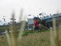見つかった 2004/04/24-1